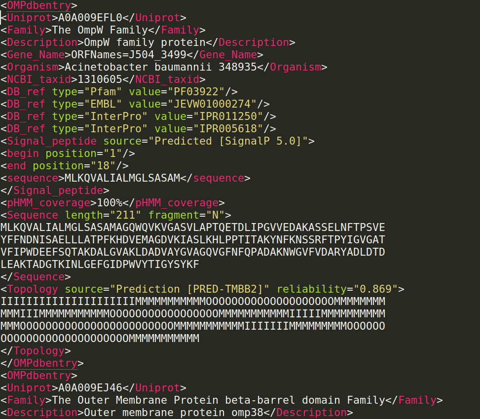 XML